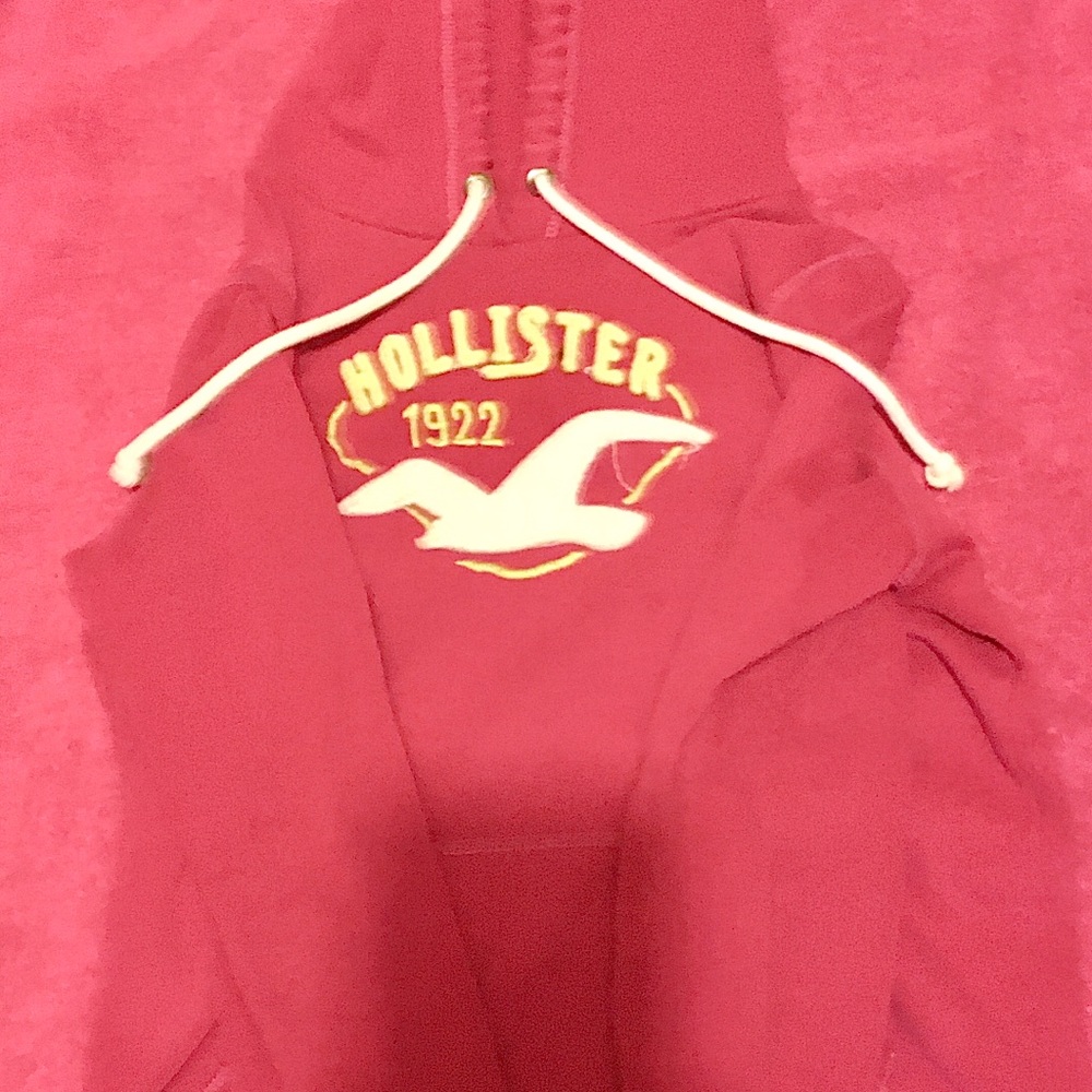 Hollister hoodie